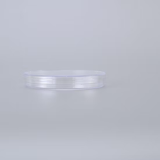 Culture cellulaire dans une boîte de Pétri de 100 mm